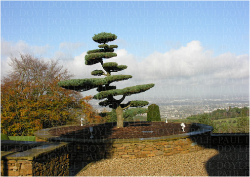 Longsdale Garden